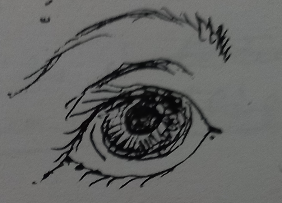 oeil croquis